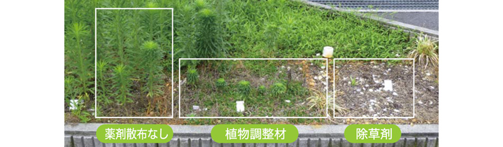 植物調整剤